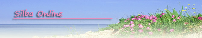 silba online